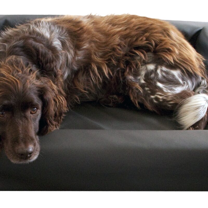 Lounge Hondenbed