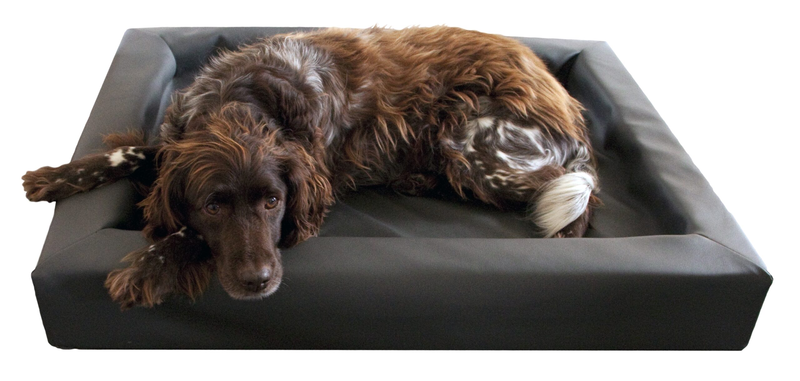 Lounge Hondenbed