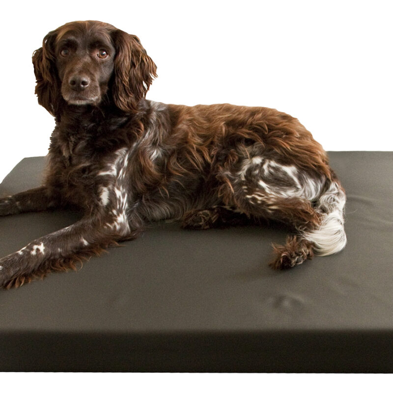 HD Dog Bed